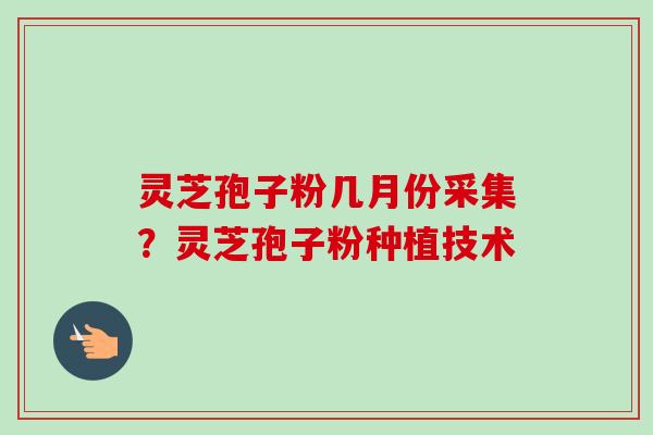 灵芝孢子粉几月份采集？灵芝孢子粉种植技术-第1张图片-卓越灵芝孢子粉