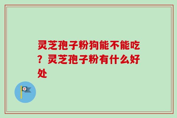 灵芝孢子粉狗能不能吃？灵芝孢子粉有什么好处-第1张图片-卓越灵芝孢子粉
