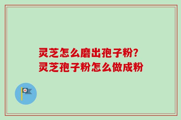 灵芝怎么磨出孢子粉?灵芝孢子粉怎么做成粉-第1张图片-卓越灵芝孢子粉 灵芝怎么磨出孢子粉?灵芝孢子粉怎么做成粉-第1张图片-卓越灵芝孢子粉
