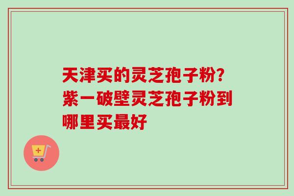 天津买的灵芝孢子粉？紫一破壁灵芝孢子粉到哪里买最好-第1张图片-卓越灵芝孢子粉