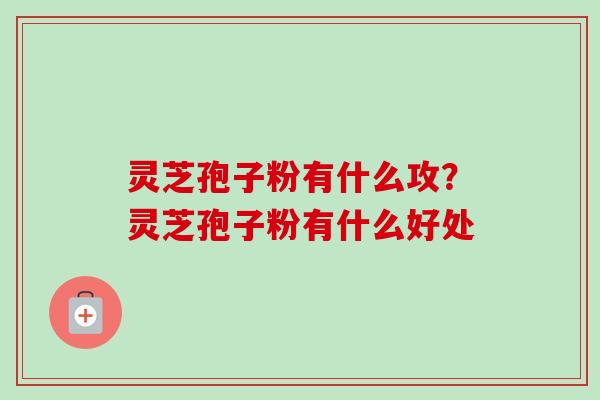 灵芝孢子粉有什么攻？灵芝孢子粉有什么好处-第1张图片-卓越灵芝孢子粉