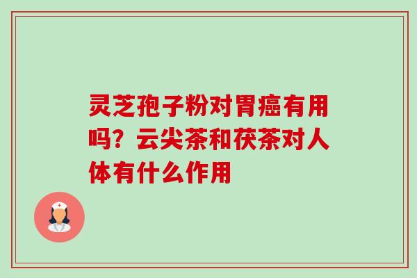 灵芝孢子粉对胃癌有用吗?云尖茶和茯茶对人体有什么作用-第1张图片-卓越灵芝孢子粉 灵芝孢子粉对胃癌有用吗?云尖茶和茯茶对人体有什么作用-第1张图片-卓越灵芝孢子粉