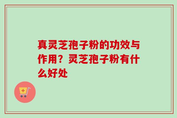 真灵芝孢子粉的功效与作用?灵芝孢子粉有什么好处-第1张图片-卓越灵芝孢子粉 真灵芝孢子粉的功效与作用?灵芝孢子粉有什么好处-第1张图片-卓越灵芝孢子粉