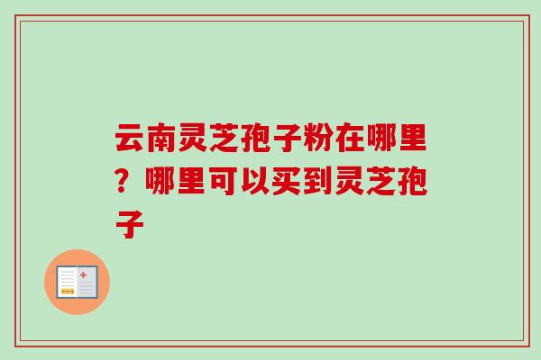 云南灵芝孢子粉在哪里?哪里可以买到灵芝孢子-第1张图片-卓越灵芝孢子粉 云南灵芝孢子粉在哪里?哪里可以买到灵芝孢子-第1张图片-卓越灵芝孢子粉