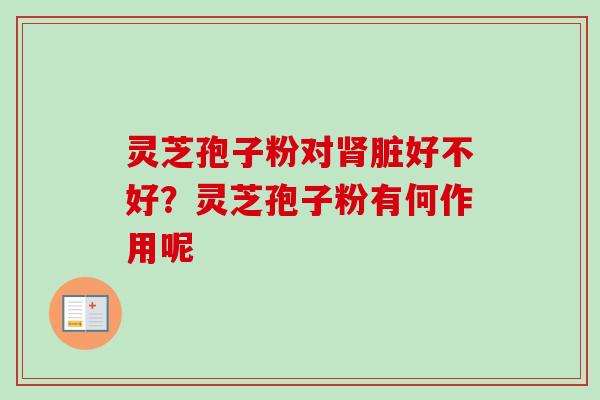 灵芝孢子粉对肾脏好不好?灵芝孢子粉有何作用呢-第1张图片-卓越灵芝孢子粉 灵芝孢子粉对肾脏好不好?灵芝孢子粉有何作用呢-第1张图片-卓越灵芝孢子粉