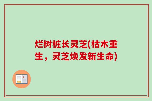 烂树桩长灵芝(枯木重生,灵芝焕发新生命)-第1张图片-卓越灵芝孢子粉 烂树桩长灵芝(枯木重生,灵芝焕发新生命)-第1张图片-卓越灵芝孢子粉