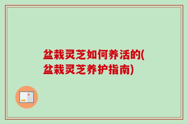 盆栽灵芝如何养活的(盆栽灵芝养护指南)-第1张图片-卓越灵芝孢子粉 盆栽灵芝如何养活的(盆栽灵芝养护指南)-第1张图片-卓越灵芝孢子粉
