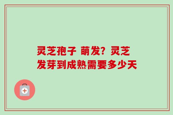 灵芝孢子 萌发？灵芝发芽到成熟需要多少天-第1张图片-卓越灵芝孢子粉