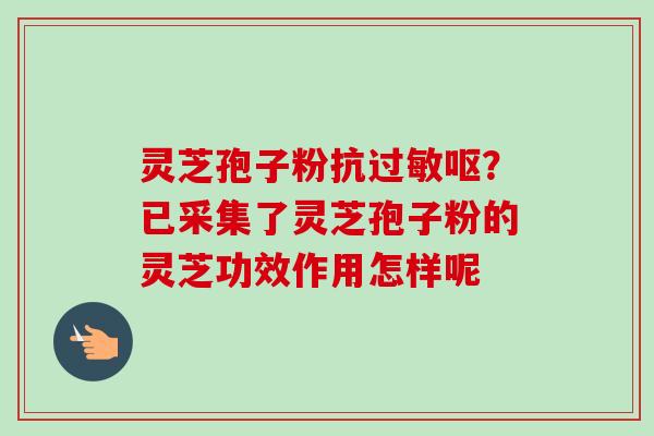 灵芝孢子粉抗过敏呕？已采集了灵芝孢子粉的灵芝功效作用怎样呢-第1张图片-卓越灵芝孢子粉