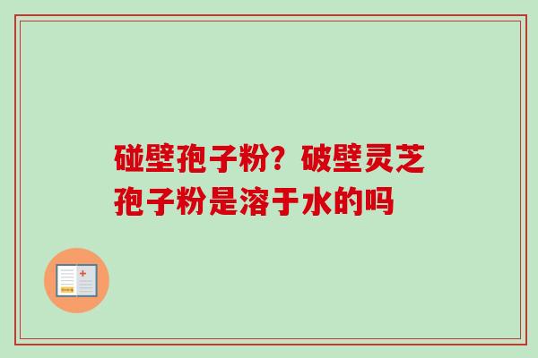 碰壁孢子粉?破壁灵芝孢子粉是溶于水的吗-第1张图片-卓越灵芝孢子粉 碰壁孢子粉?破壁灵芝孢子粉是溶于水的吗-第1张图片-卓越灵芝孢子粉