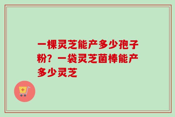 一棵灵芝能产多少孢子粉？一袋灵芝菌棒能产多少灵芝-第1张图片-卓越灵芝孢子粉