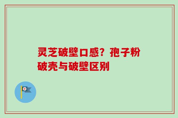 灵芝破壁口感？孢子粉破壳与破壁区别-第1张图片-卓越灵芝孢子粉