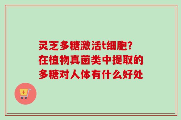 灵芝多糖激活t细胞？在植物真菌类中提取的多糖对人体有什么好处-第1张图片-卓越灵芝孢子粉
