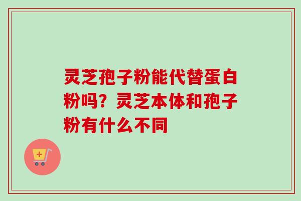 灵芝孢子粉能代替蛋白粉吗?灵芝本体和孢子粉有什么不同-第1张图片-卓越灵芝孢子粉 灵芝孢子粉能代替蛋白粉吗?灵芝本体和孢子粉有什么不同-第1张图片-卓越灵芝孢子粉
