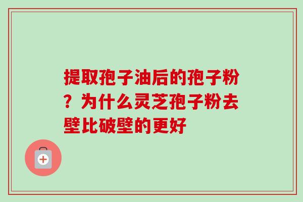 提取孢子油后的孢子粉?为什么灵芝孢子粉去壁比破壁的更好-第1张图片-卓越灵芝孢子粉 提取孢子油后的孢子粉?为什么灵芝孢子粉去壁比破壁的更好-第1张图片-卓越灵芝孢子粉
