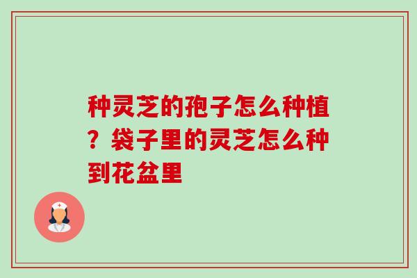 种灵芝的孢子怎么种植?袋子里的灵芝怎么种到花盆里-第1张图片-卓越灵芝孢子粉 种灵芝的孢子怎么种植?袋子里的灵芝怎么种到花盆里-第1张图片-卓越灵芝孢子粉