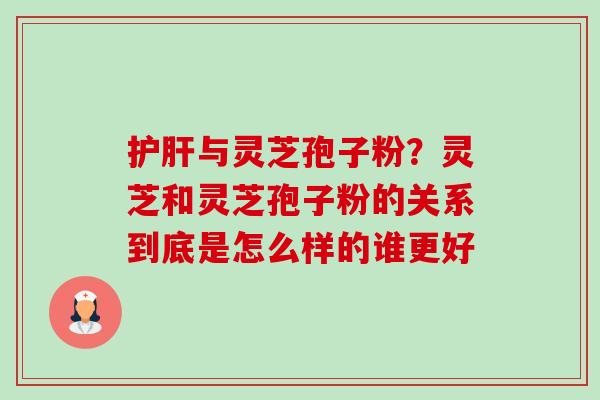 护肝与灵芝孢子粉？灵芝和灵芝孢子粉的关系到底是怎么样的谁更好-第1张图片-卓越灵芝孢子粉
