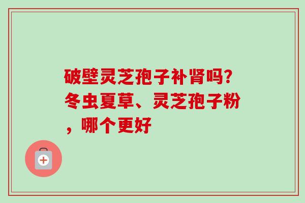 破壁灵芝孢子补肾吗?冬虫夏草、灵芝孢子粉,哪个更好-第1张图片-卓越灵芝孢子粉 破壁灵芝孢子补肾吗?冬虫夏草、灵芝孢子粉,哪个更好-第1张图片-卓越灵芝孢子粉