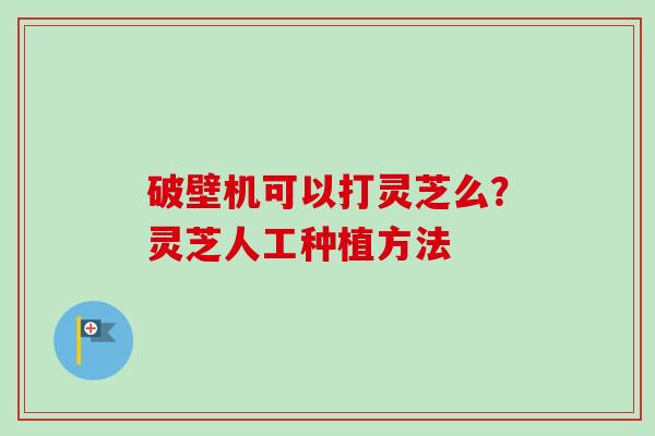 破壁机可以打灵芝么？灵芝人工种植方法-第1张图片-卓越灵芝孢子粉