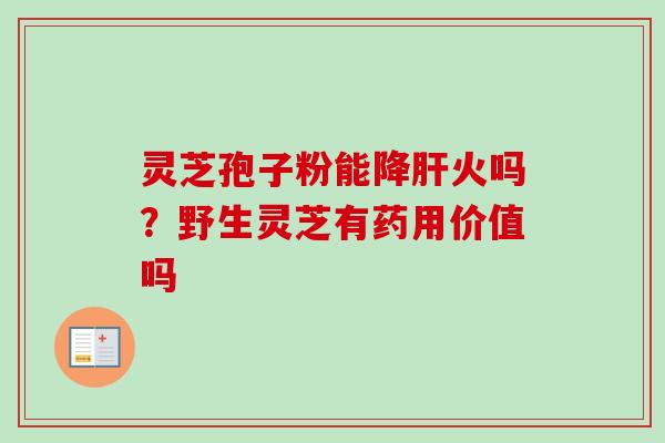 灵芝孢子粉能降肝火吗？野生灵芝有药用价值吗-第1张图片-卓越灵芝孢子粉