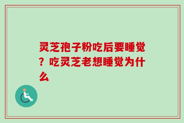 灵芝孢子粉吃后要睡觉？吃灵芝老想睡觉为什么-第1张图片-卓越灵芝孢子粉