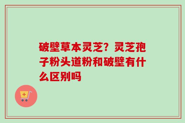 破壁草本灵芝？灵芝孢子粉头道粉和破壁有什么区别吗-第1张图片-卓越灵芝孢子粉
