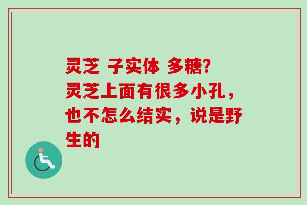 灵芝 子实体 多糖?灵芝上面有很多小孔,也不怎么结实,说是野生的-第1张图片-卓越灵芝孢子粉 灵芝 子实体 多糖?灵芝上面有很多小孔,也不怎么结实,说是野生的-第1张图片-卓越灵芝孢子粉