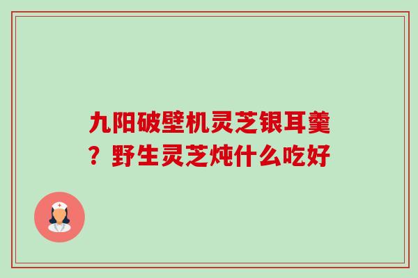 九阳破壁机灵芝银耳羹?野生灵芝炖什么吃好-第1张图片-卓越灵芝孢子粉 九阳破壁机灵芝银耳羹?野生灵芝炖什么吃好-第1张图片-卓越灵芝孢子粉