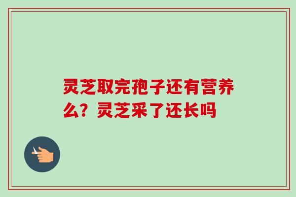 灵芝取完孢子还有营养么？灵芝采了还长吗-第1张图片-卓越灵芝孢子粉