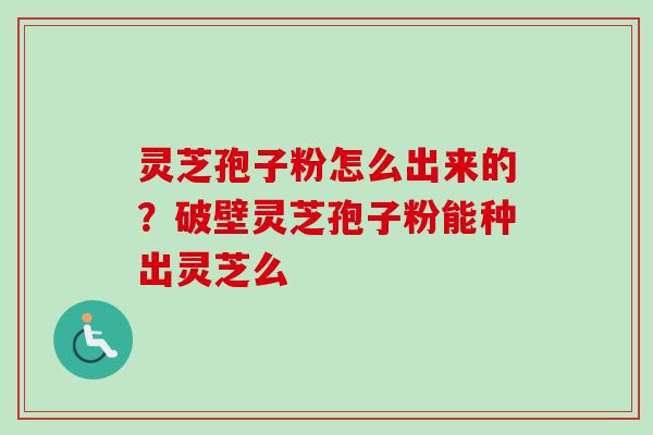 灵芝孢子粉怎么出来的？破壁灵芝孢子粉能种出灵芝么-第1张图片-卓越灵芝孢子粉