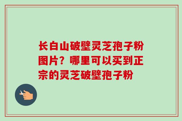 长白山破壁灵芝孢子粉图片?哪里可以买到正宗的灵芝破壁孢子粉-第1张图片-卓越灵芝孢子粉 长白山破壁灵芝孢子粉图片?哪里可以买到正宗的灵芝破壁孢子粉-第1张图片-卓越灵芝孢子粉