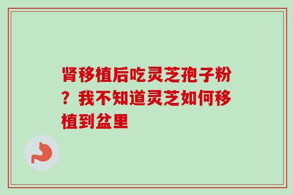肾移植后吃灵芝孢子粉?我不知道灵芝如何移植到盆里-第1张图片-卓越灵芝孢子粉 肾移植后吃灵芝孢子粉?我不知道灵芝如何移植到盆里-第1张图片-卓越灵芝孢子粉
