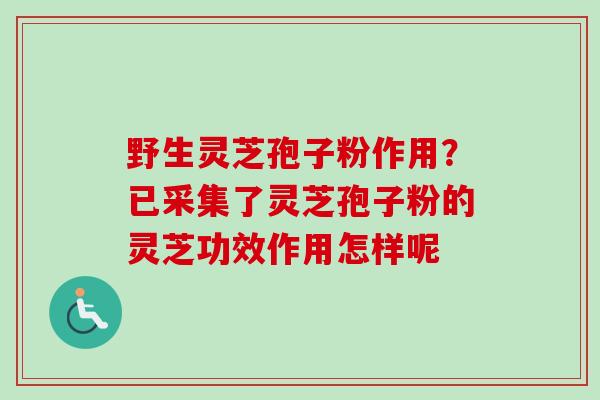 野生灵芝孢子粉作用?已采集了灵芝孢子粉的灵芝功效作用怎样呢-第1张图片-卓越灵芝孢子粉 野生灵芝孢子粉作用?已采集了灵芝孢子粉的灵芝功效作用怎样呢-第1张图片-卓越灵芝孢子粉