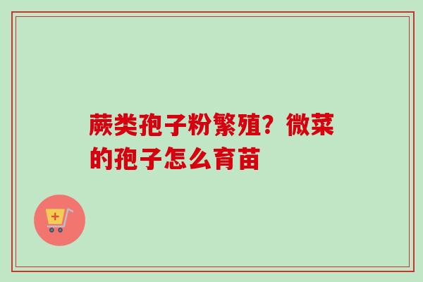 蕨类孢子粉繁殖?微菜的孢子怎么育苗-第1张图片-卓越灵芝孢子粉 蕨类孢子粉繁殖?微菜的孢子怎么育苗-第1张图片-卓越灵芝孢子粉