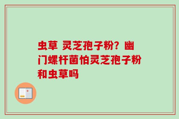 虫草 灵芝孢子粉？幽门螺杆菌怕灵芝孢子粉和虫草吗-第1张图片-卓越灵芝孢子粉