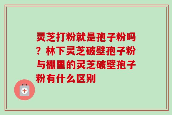 灵芝打粉就是孢子粉吗？林下灵芝破壁孢子粉与棚里的灵芝破壁孢子粉有什么区别-第1张图片-卓越灵芝孢子粉
