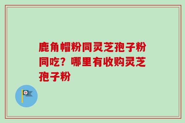鹿角帽粉同灵芝孢子粉同吃?哪里有收购灵芝孢子粉-第1张图片-卓越灵芝孢子粉 鹿角帽粉同灵芝孢子粉同吃?哪里有收购灵芝孢子粉-第1张图片-卓越灵芝孢子粉