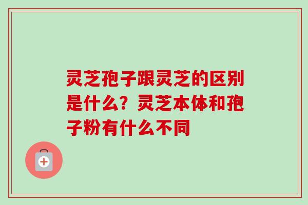 灵芝孢子跟灵芝的区别是什么?灵芝本体和孢子粉有什么不同-第1张图片-卓越灵芝孢子粉 灵芝孢子跟灵芝的区别是什么?灵芝本体和孢子粉有什么不同-第1张图片-卓越灵芝孢子粉
