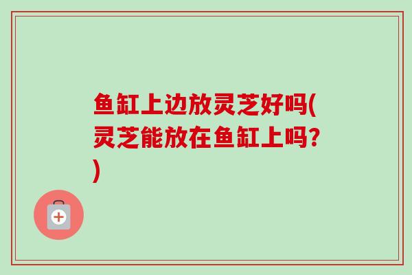 鱼缸上边放灵芝好吗(灵芝能放在鱼缸上吗？)-第1张图片-卓越灵芝孢子粉
