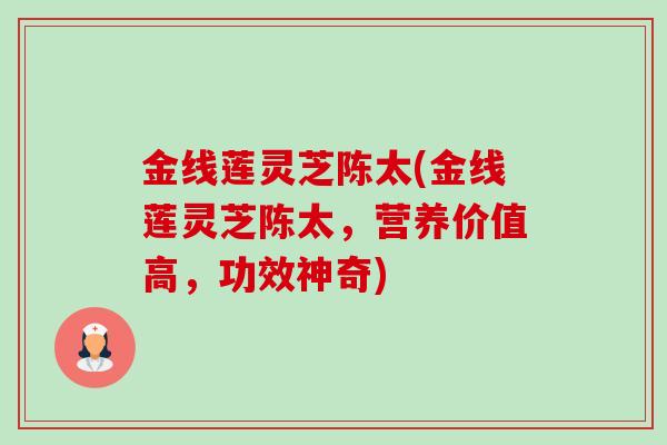 金线莲灵芝陈太(金线莲灵芝陈太，营养价值高，功效神奇)-第1张图片-卓越灵芝孢子粉