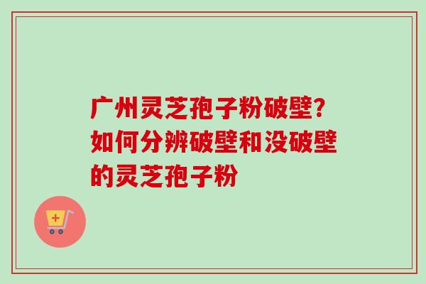 广州灵芝孢子粉破壁？如何分辨破壁和没破壁的灵芝孢子粉-第1张图片-卓越灵芝孢子粉