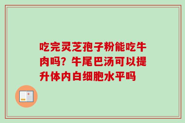 吃完灵芝孢子粉能吃牛肉吗？牛尾巴汤可以提升体内白细胞水平吗-第1张图片-卓越灵芝孢子粉