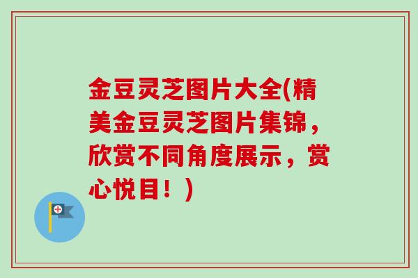金豆灵芝图片大全(精美金豆灵芝图片集锦,欣赏不同角度展示,赏心悦目!)-第1张图片-卓越灵芝孢子粉 金豆灵芝图片大全(精美金豆灵芝图片集锦,欣赏不同角度展示,赏心悦目!)-第1张图片-卓越灵芝孢子粉