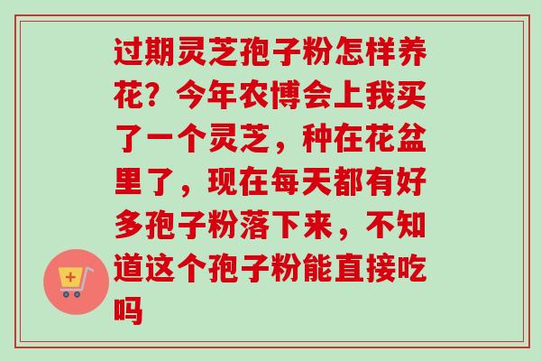 过期灵芝孢子粉怎样养花?今年农博会上我买了一个灵芝,种在花盆里了,现在每天都有好多孢子粉落下来,不知道这个孢子粉能直接吃吗-第1张图片-卓越灵芝孢子粉 过期灵芝孢子粉怎样养花?今年农博会上我买了一个灵芝,种在花盆里了,现在每天都有好多孢子粉落下来,不知道这个孢子粉能直接吃吗-第1张图片-卓越灵芝孢子粉