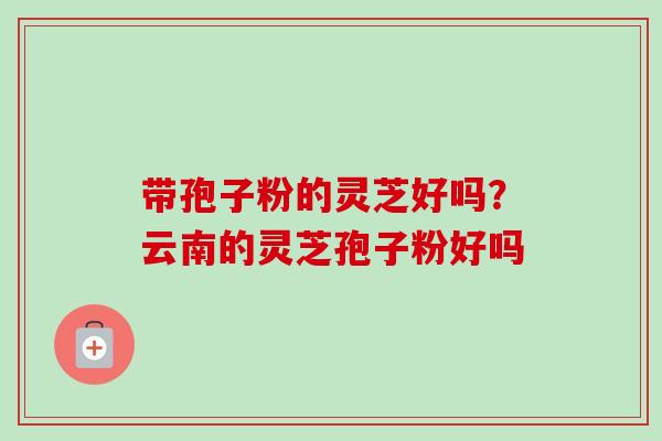 带孢子粉的灵芝好吗？云南的灵芝孢子粉好吗-第1张图片-卓越灵芝孢子粉