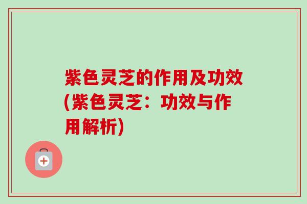 紫色灵芝的作用及功效(紫色灵芝：功效与作用解析)-第1张图片-卓越灵芝孢子粉