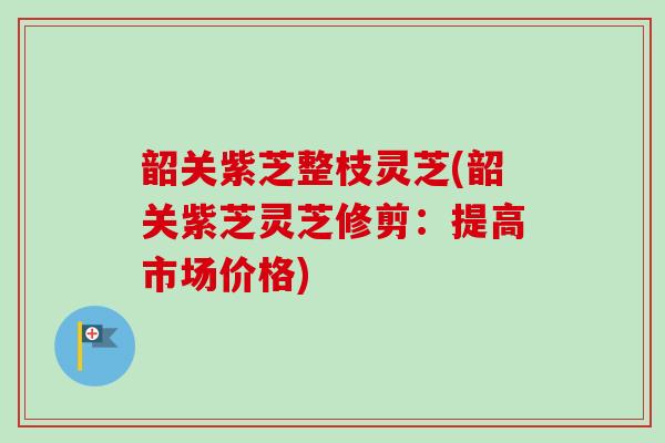 韶关紫芝整枝灵芝(韶关紫芝灵芝修剪：提高市场价格)-第1张图片-卓越灵芝孢子粉