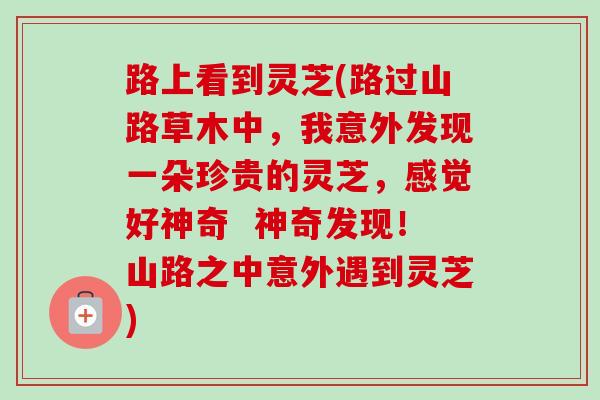 路上看到灵芝(路过山路草木中,我意外发现一朵珍贵的灵芝,感觉好神奇 神奇发现!山路之中意外遇到灵芝)-第1张图片-卓越灵芝孢子粉 路上看到灵芝(路过山路草木中,我意外发现一朵珍贵的灵芝,感觉好神奇 神奇发现!山路之中意外遇到灵芝)-第1张图片-卓越灵芝孢子粉