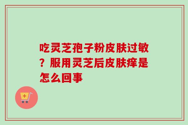 吃灵芝孢子粉皮肤过敏？服用灵芝后皮肤痒是怎么回事-第1张图片-卓越灵芝孢子粉