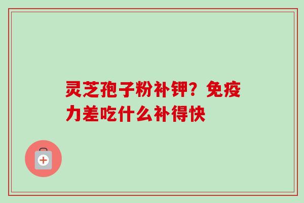 灵芝孢子粉补钾?免疫力差吃什么补得快-第1张图片-卓越灵芝孢子粉 灵芝孢子粉补钾?免疫力差吃什么补得快-第1张图片-卓越灵芝孢子粉
